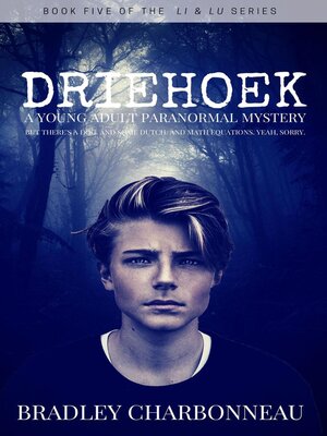 cover image of Driehoek